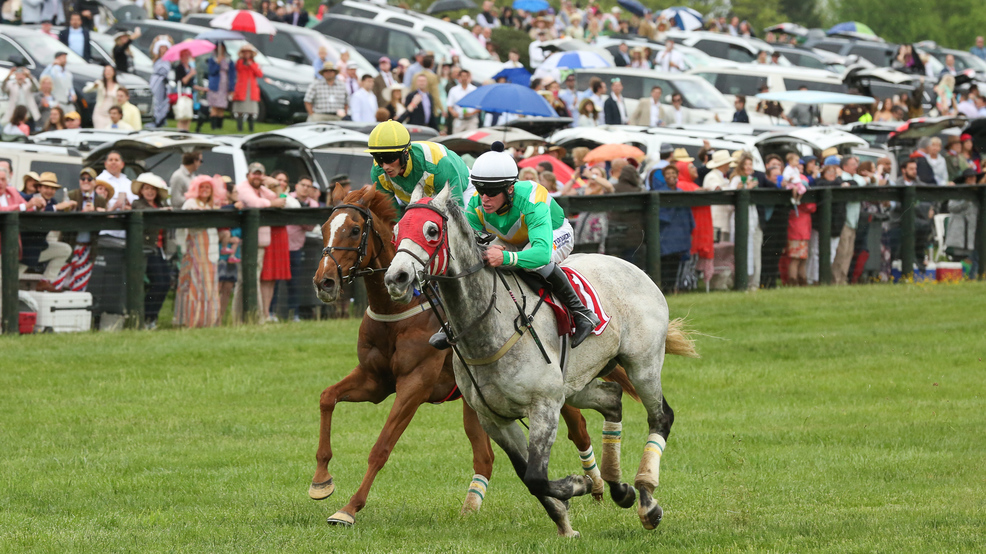 The 93rd annual Virginia Gold Cup in photos DC Refined
