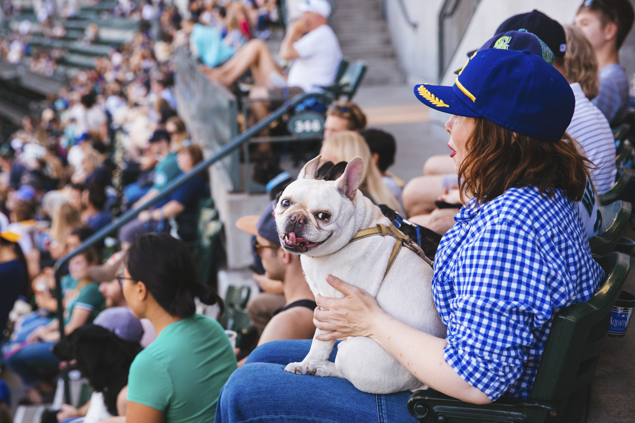 Photos Mariners' Bark at the Park returns for a howling good time