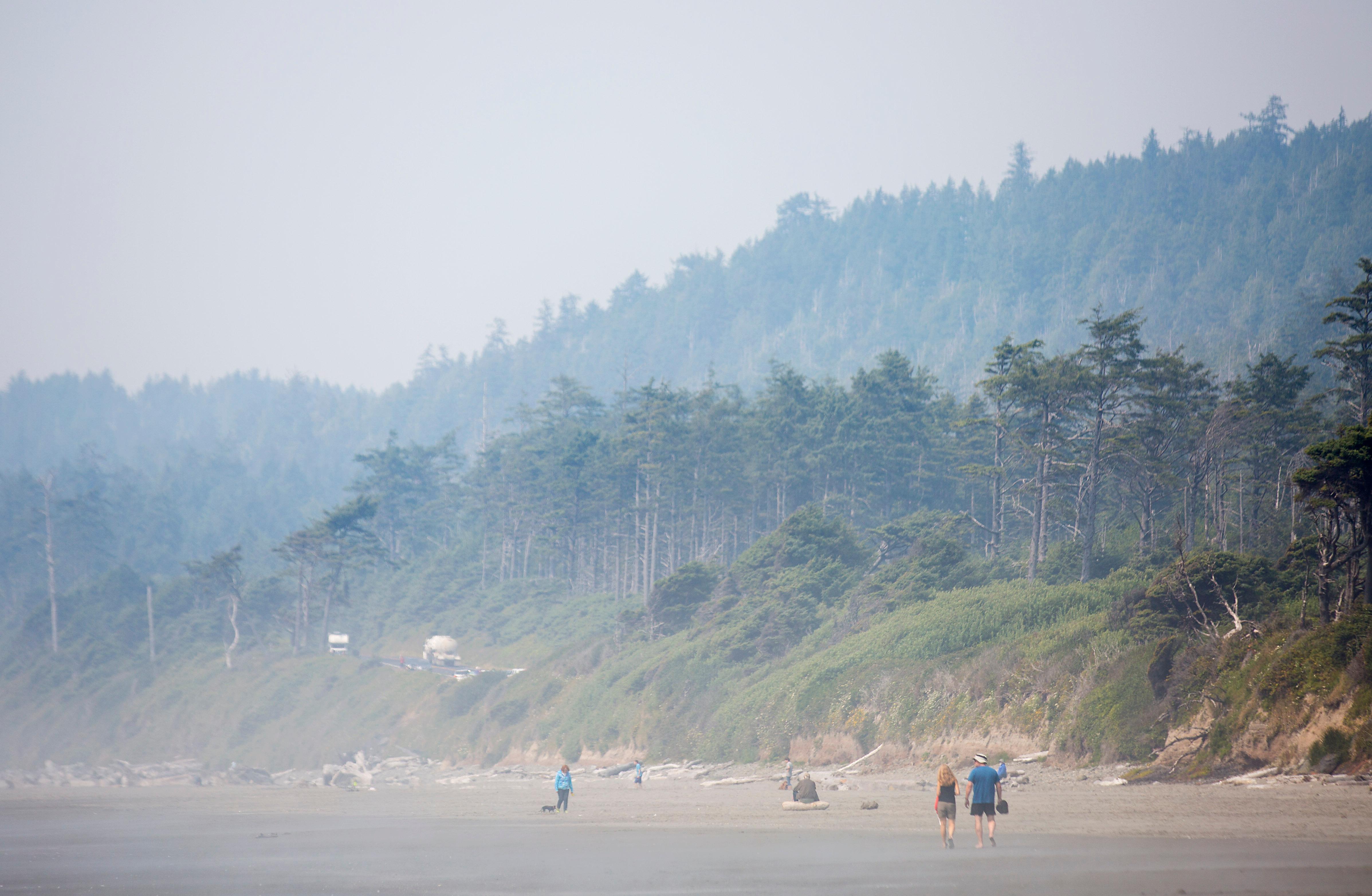 Photos The Tree of Life in Forks, WA is straight out of a storybook