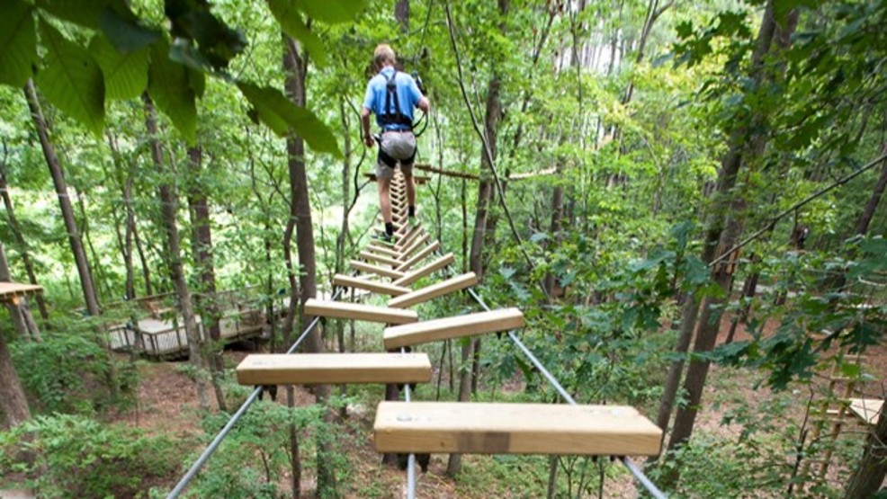 Fontenelle Forest to host grand opening for 'Tree Rush Adventures