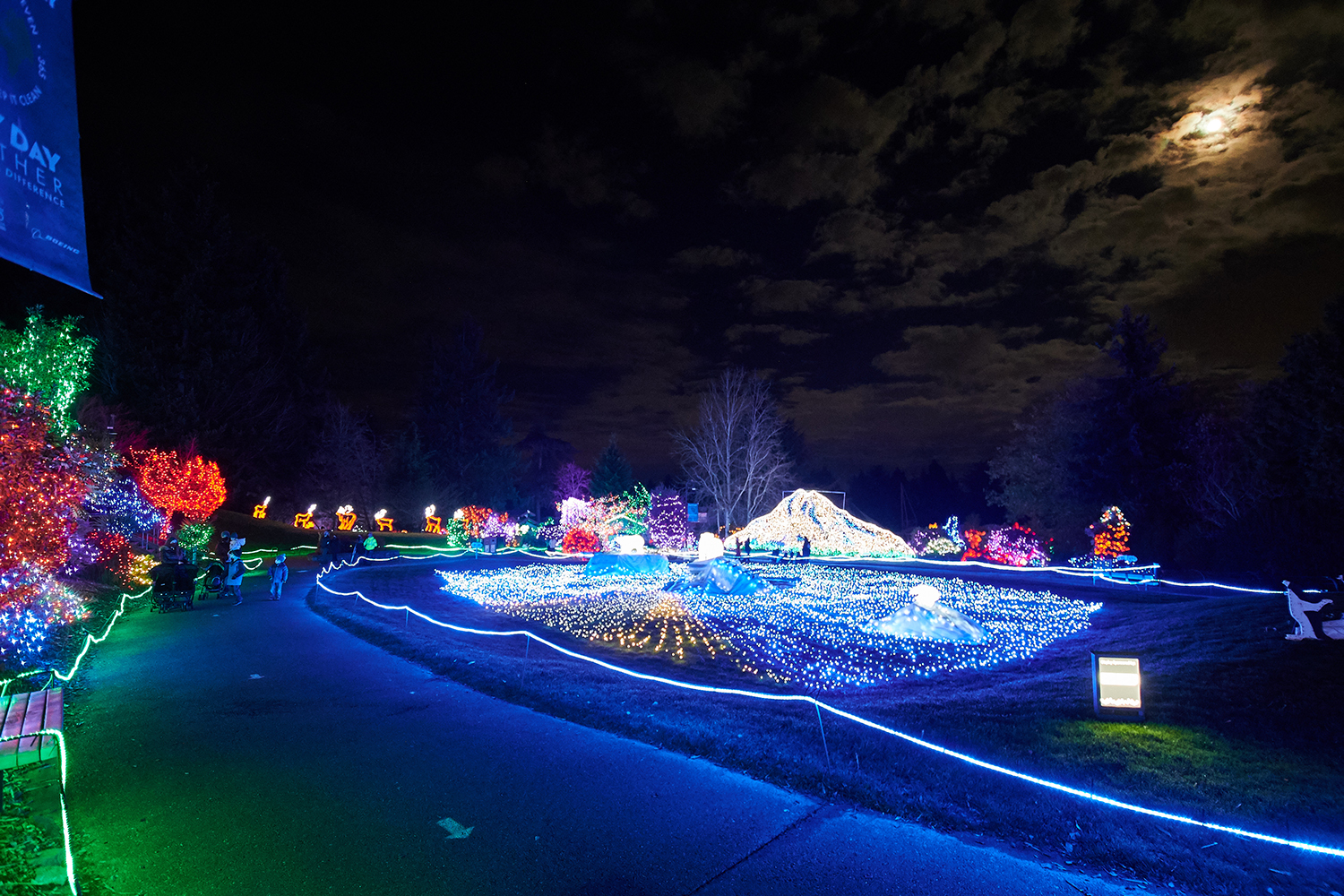 Photos A Walking Tour of ZooLights at Point Defiance Zoo & Aquarium