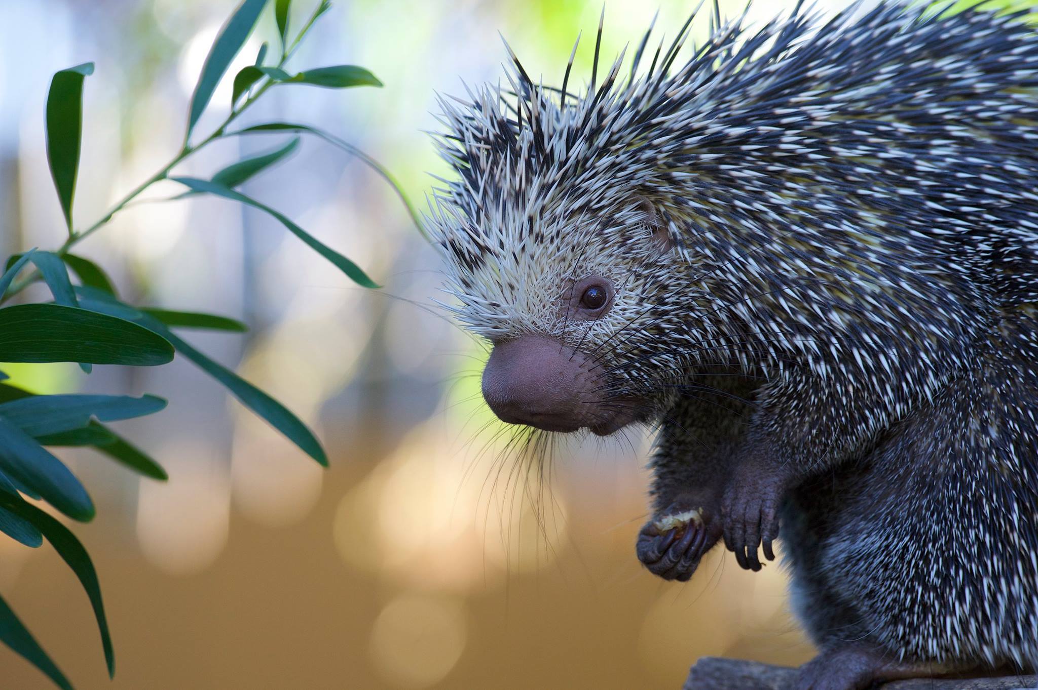 San Diego Travel Guide The Do's and Don'ts Seattle Refined