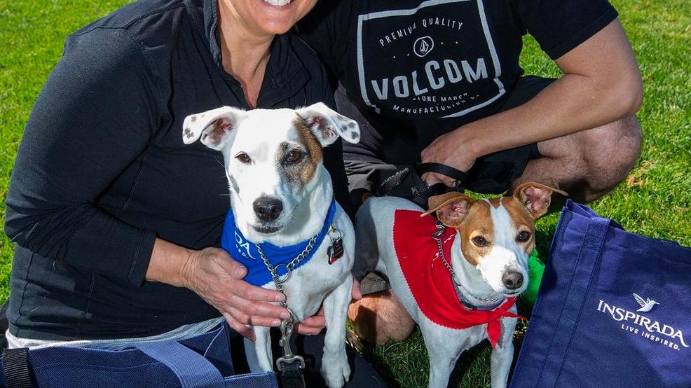 'Dog Days' Farmers' Market returns to Inspirada, April 27 KSNV