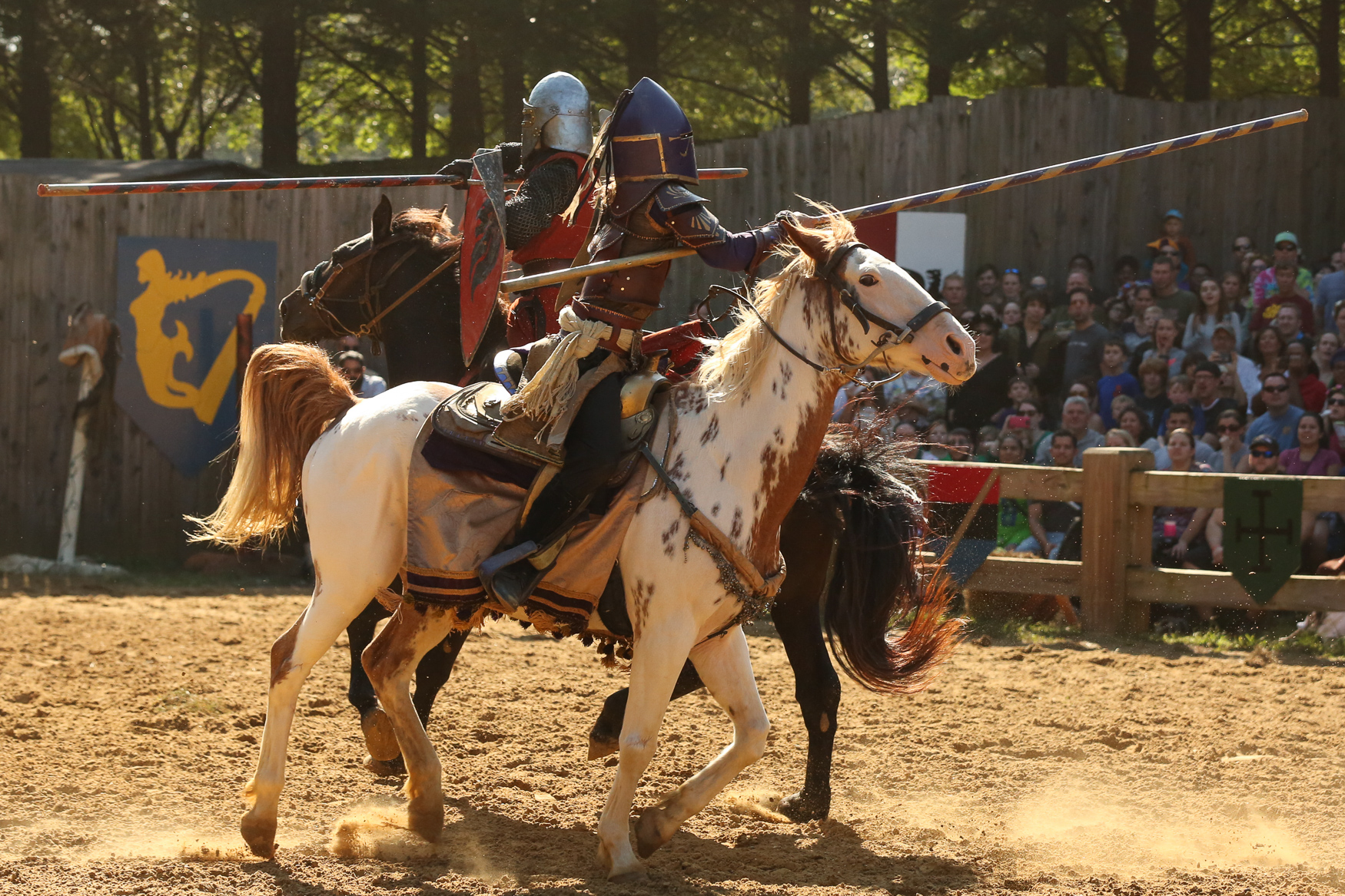 The Maryland Renaissance Fest brings the DMV back to the past DC Refined