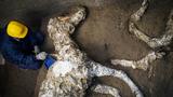 Harnessed horse unearthed in ancient stable near Pompeii