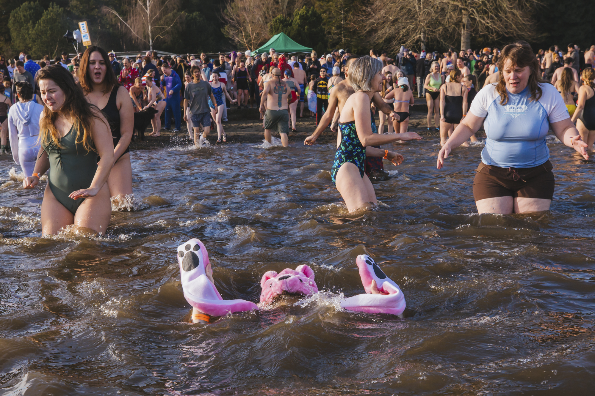 Photos Thousands Take Seattle S Annual Polar Bear Plunge Seattle Refined