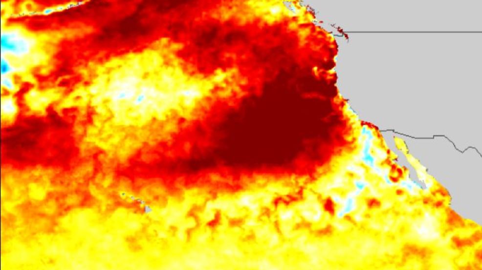 'The Blob' is back in the Pacific Ocean, but what does it mean? - KOMO News