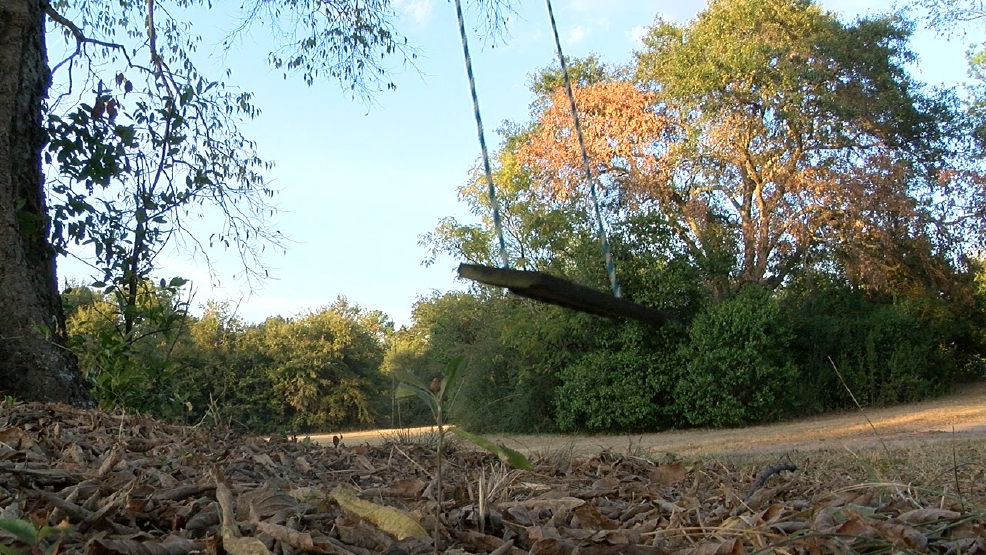 Designs unveiled for new Centerville park WGXA