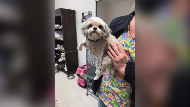 Pet of the Week: Freddy 