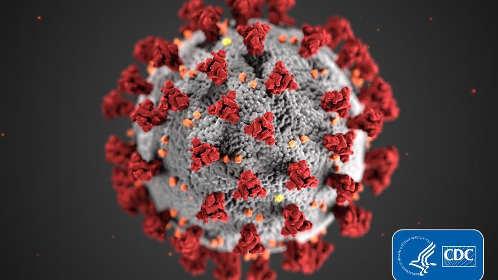 76 people being monitored for coronavirus, Oregon Health Authority says - KATU thumbnail