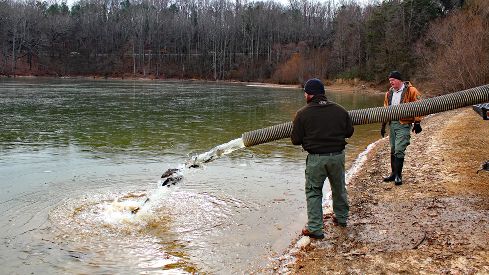 Winter trout stocking schedule announced | WFLI