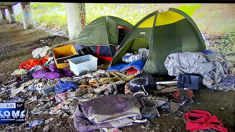 Homeless jungle tents 1.jpg Homeless jungle tents 1.jpg