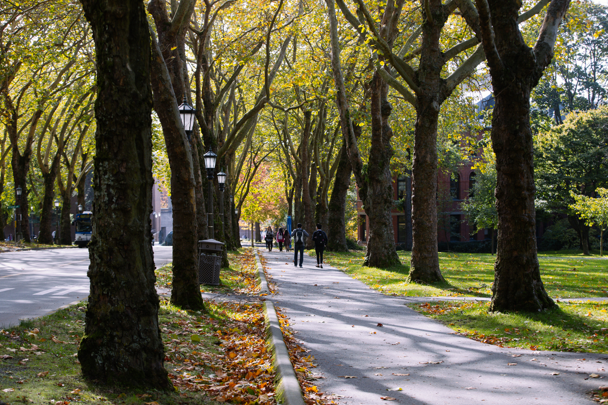 Photos Fall colors at the University of Washington Seattle Refined