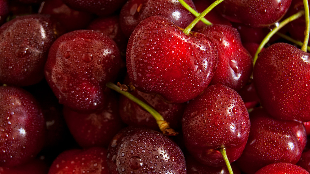 They seek to save cherry harvest in the face of heat wave in the region