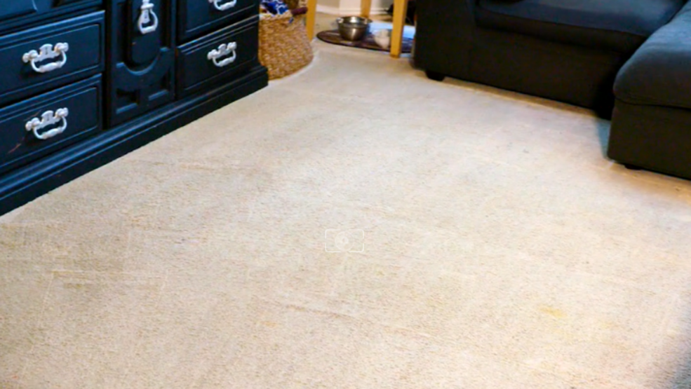 Give your carpets the gift of a Zerorez cleaning Seattle Refined