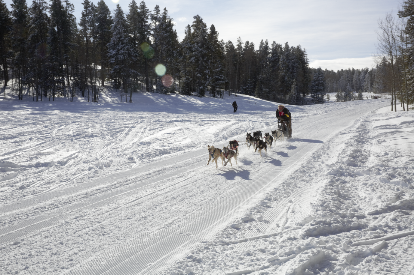 Photos: We happened to be in Casper, WY during the 24th Annual Dog Sled Race.... | Seattle Refined