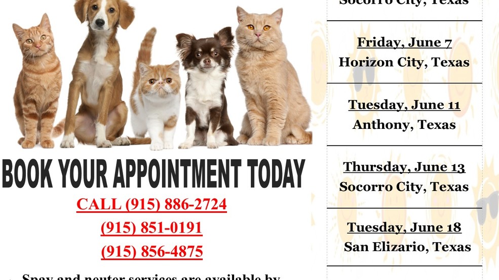 New spay and neuter program for June KFOX