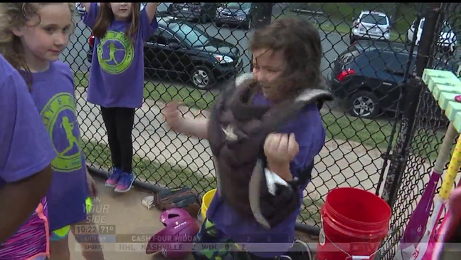 Sully's Little Heroes  ( Allsopp Park softball)