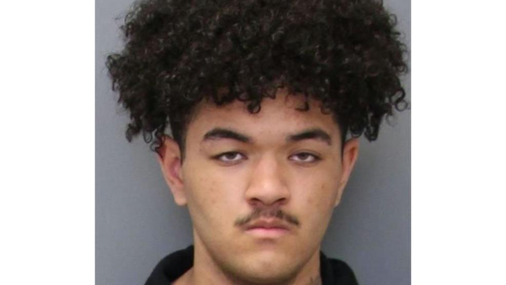 Police 16 Year Old La Plata Boy In Custody After Possession Of