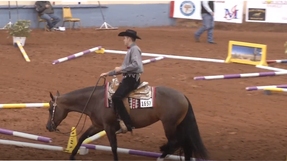 American Quarter Horse Association’s World Championship Show KOKH