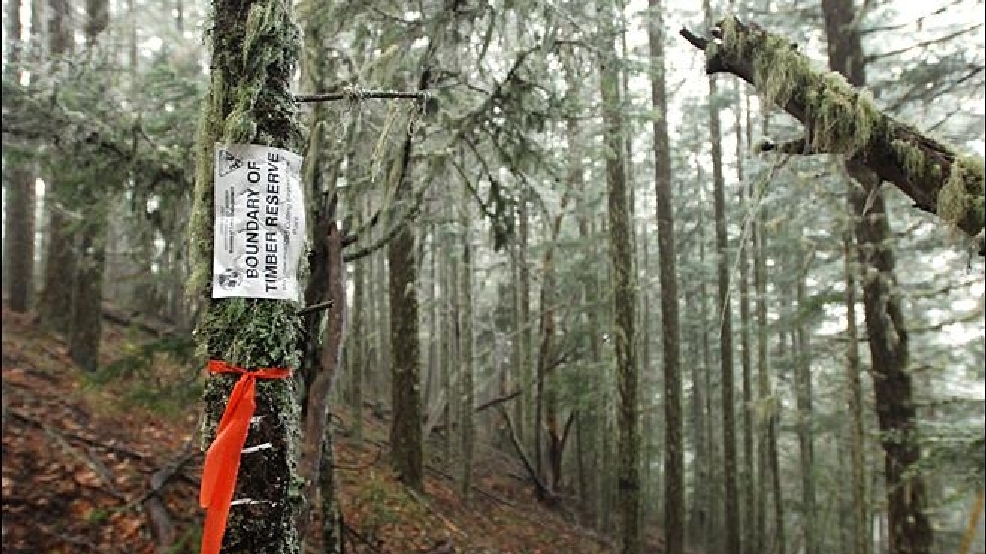 131127_Timber_Counties_Wyden_660.jpg
