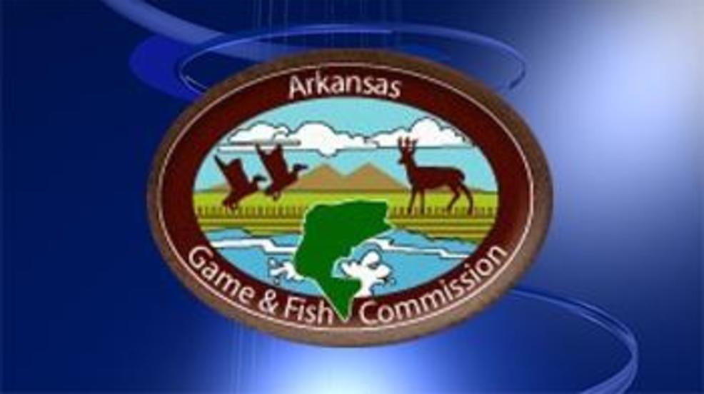 Electronic license option coming to Arkansas hunters and anglers soon