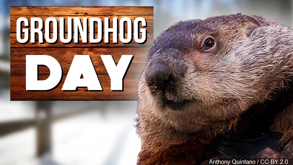 Michigan groundhog's prediction 6 more weeks of winter WWMT