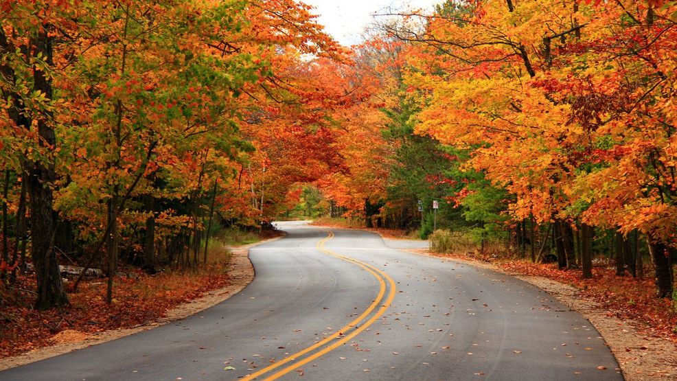 Wine Tasting Festival Going And Leaf Peeping In Door County