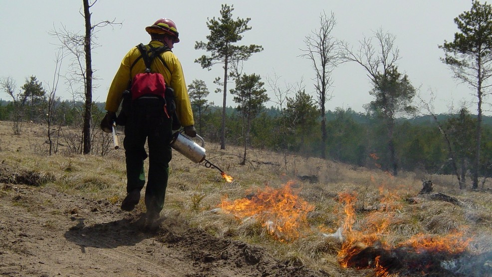 National Forest performs prescribed fire in Oscoda County WPBN