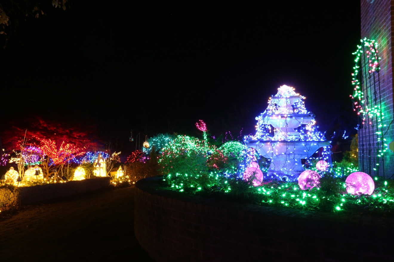 Lighten up at Meadowlark’s Winter Walk of Lights DC Refined