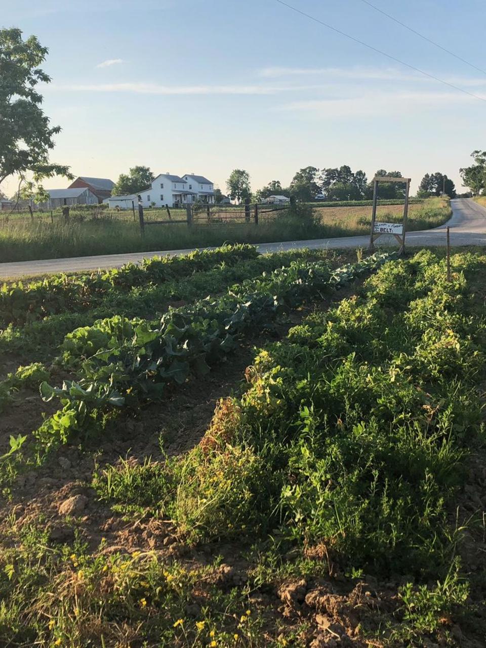 Like Going Back In Time A Visit To Amish Country In Middle
