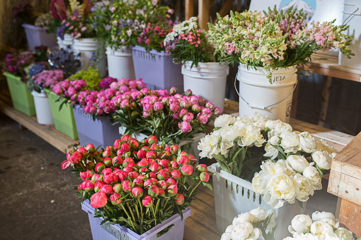 Seattle's glorious fieldtovase flower market Seattle Refined