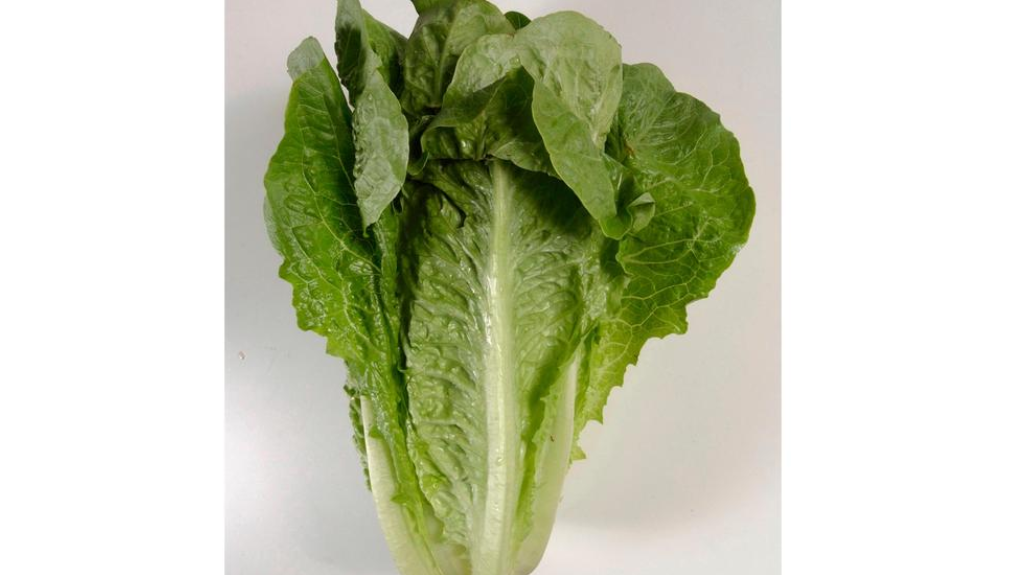 on friday, june 1, 2018, the u.s.